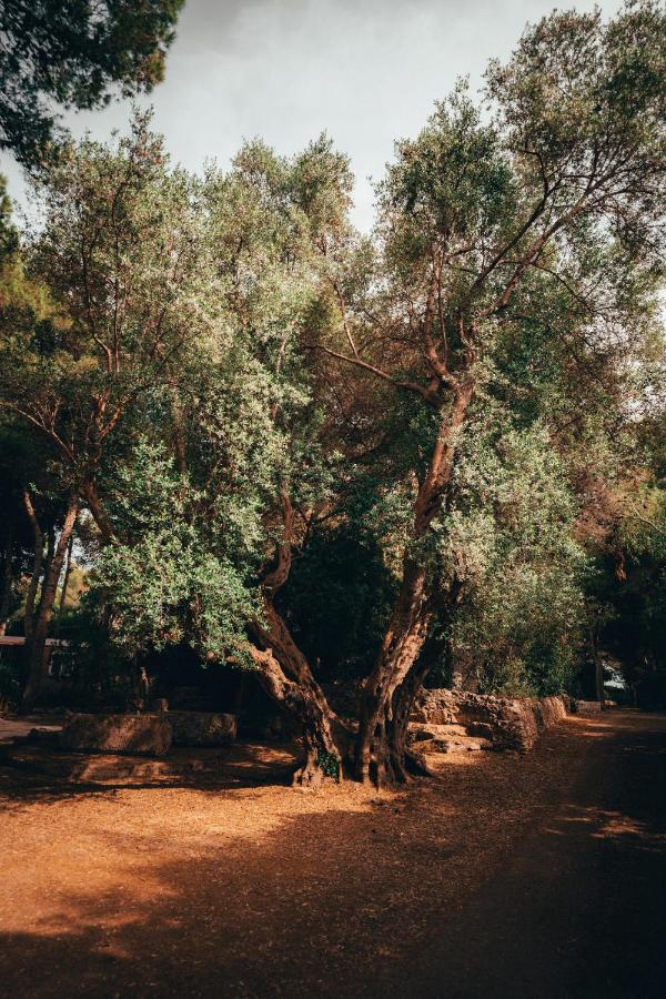I Giardini Di Santomaj Daire Leporano Dış mekan fotoğraf